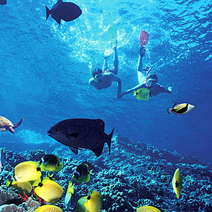 Hurghada Tour from Hurghada Port